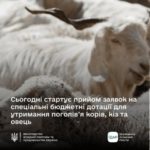 Увага! Стартує прийом заявок на спеціальні бюджетні дотації для утримання поголів’я корів, кіз та овець