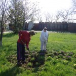 День Довкілля 25 квітня 2015 року