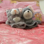 Про організацію оздоровлення та відпочинку дітей влітку 2013 року