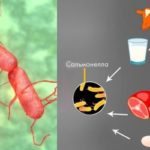 Сальмонельоз: як уберегтися від інфекції?