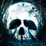 Експрес-інформація Головного управління ДСНС України у Дніпропетровській області щодо попередження отруєння дикорослими грибами